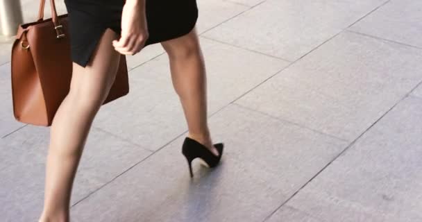 Mujer Negocios Moda Zapatos Caminando Por Calle Fuera Ciudad Viaje — Vídeo de stock
