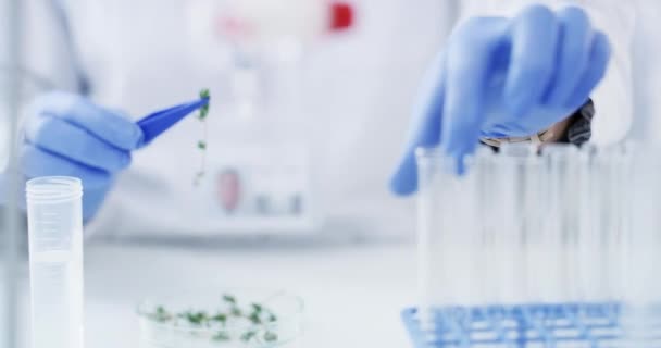 Biyoloji Bitki Bilimi Doğa Testleri Için Kimyasal Deney Yapan Kadın — Stok video