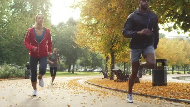 Menschen Die Herbst Draußen Joggen Sport Treiben Und Sich Fit — Stockvideo