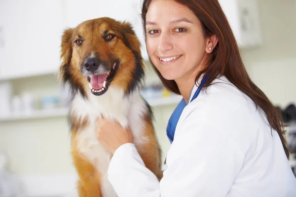 定期的な検査は 犬の健康のために不可欠です 幸せな見て犬と笑顔の女性の獣医の肖像画 — ストック写真