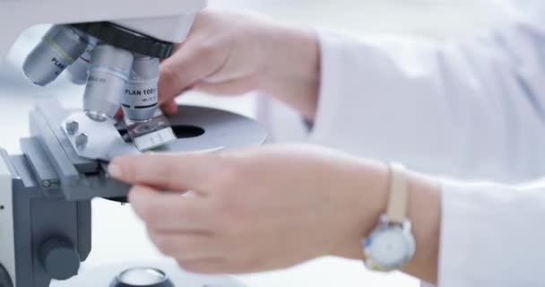 Mikroskop Bilim Bitki Araştırmacısı Kadın Monitör Ekranlı Bir Laboratuarda Doktora — Stok video