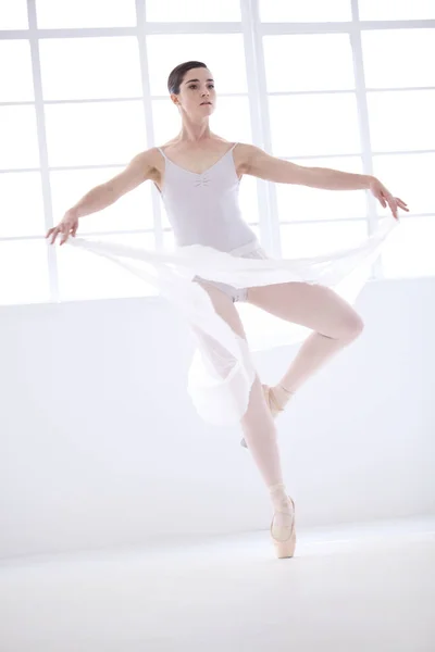 バレエはすべて制御された優雅さについてです 優雅な若いですバレリーナでホワイトダンスEn Point — ストック写真