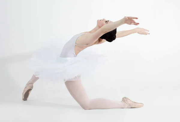 控制的激情 在白色背景下跳舞的柔嫩的年轻芭蕾舞演员 — 图库照片