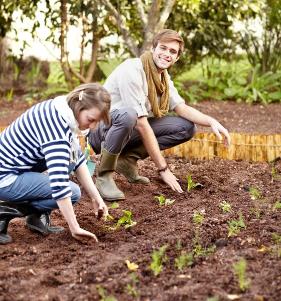 Peux Pas Attendre Notre Première Récolte Jeune Couple Plantant Ensemble — Photo