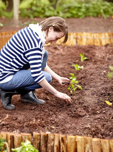 Asegurarse Que Suelo Justo Mujer Joven Ocasional Plantando Plántulas Huerto — Foto de Stock