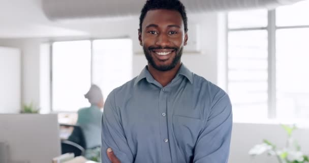 企業のベンチャーに興奮笑顔でオフィスで黒人男性の会計士 幸せと顔 キャリアの機会のために準備ができてナイジェリアの職場で会計専門家の自信の肖像画 — ストック動画