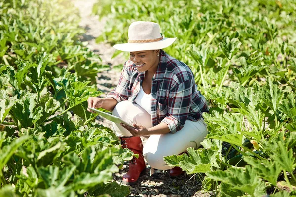 Young farmer sitting in a garden. Happy farmer using a digital tablet. African american farmer checking plants. Farmer using digital device to check produce. Smiling farmer checking plants.