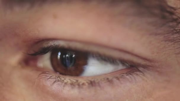 虹膜和睫毛与视觉和眼睛护理放大 隐形眼镜与健康和光学 光学和健康的眼睛 近视和近视的眼科 眼球和睫毛 — 图库视频影像