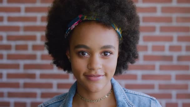 Mujer Negra Pared Ladrillo Sonrisa Cara Pensando Pelo Afro Rizado — Vídeos de Stock