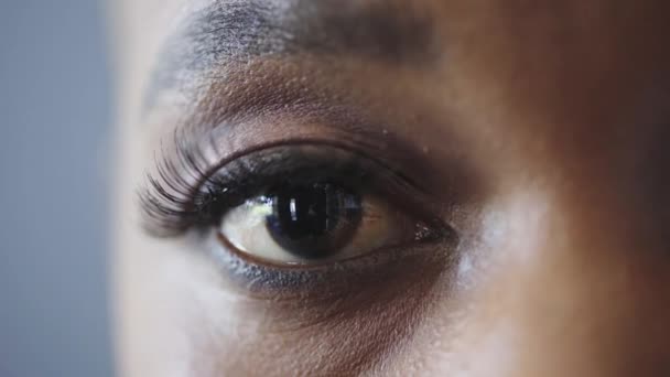 アイズーム アイケア メイクや化粧品 マスカラとアイライナーのクローズアップとの接触レンズを持つビジョンと黒の女性 微視的 眼のマクロ — ストック動画