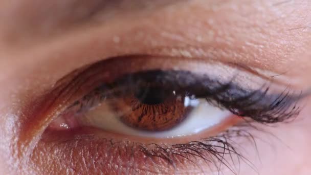 Eye Vision Blinking Black Woman Closeup Studio Exam Test Optometrist — Stock Video