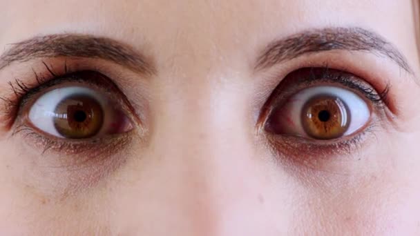 Γυναίκα Καστανά Μάτια Και Έκφραση Έκπληξη Σοκ Φόβο Παρανοϊκό Άγχος — Αρχείο Βίντεο