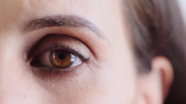 光学治療のための女性 顔と目のズームの肖像画 視力の健康と顔のマイクロブレード きれいなスキンケア 人の目とコンタクトレンズ 化粧品の目のケアとスタジオでの皮膚科をまつ毛 — ストック動画