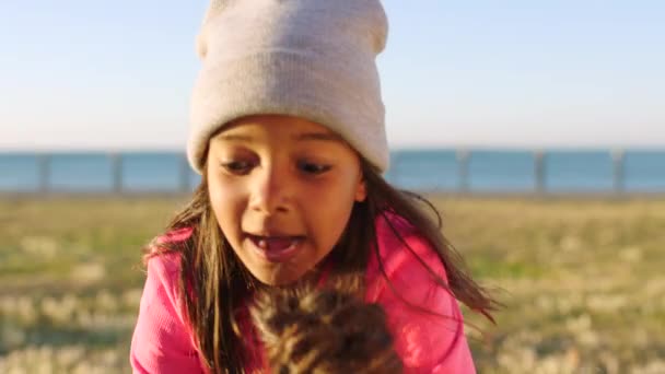Друзі Свинарники Дівчата Грають Природі Узбережжі Під Час Відпустки Розваг — стокове відео