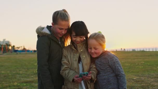 Dzieci Przyjaciele Telefon Podczas Pobytu Plaży Trawa Park Oglądanie Zabawnego — Wideo stockowe