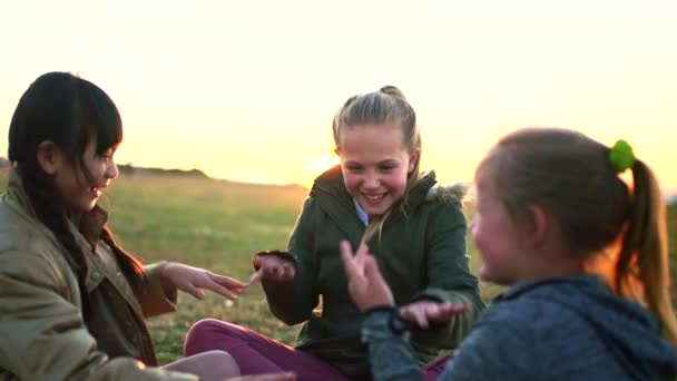 Děti Bonding Nebo Západ Slunce Ruce Zvěře Přírodním Parku Krajinném — Stock video