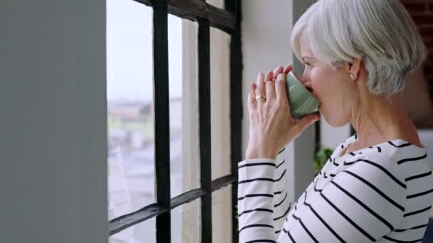 나이가 일과를 집에서 창문으로 생각하는 에서의 행복의 반영을 차분하게 긴장을 — 비디오