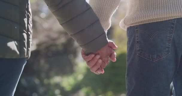 Loving Affectionate Couple Holding Hands While Enjoying Romantic Walk Park — Stockvideo