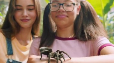 Örümcek, arkadaşlar ve hayvanat bahçesindeki kızla telefon görüşmesi. Selfie, çevre ve sosyal medya için. Vahşi yaşam, dijital ve mobil sığınaklarında gençler ve tarantula ile ekosistem, doğa ve öğrenim.