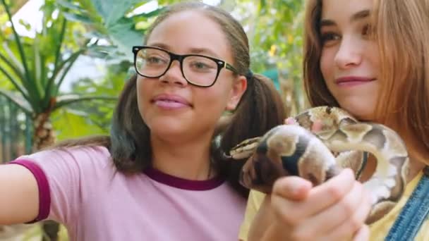 少女和电话摄影与蛇 朋友度假或日游自然公园 野生动物园与爬行动物 笑在图片 技术和智能手机 少年和蟒蛇 — 图库视频影像