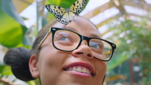 Twarz Motyl Dzieci Owadem Głowie Dziewczyny Okularach Bliska Dołu Wiosna — Wideo stockowe
