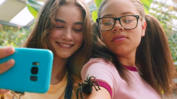 Vogelspinne Mädchen Und Freunde Mit Handy Selfie Freien Mit Einem — Stockvideo