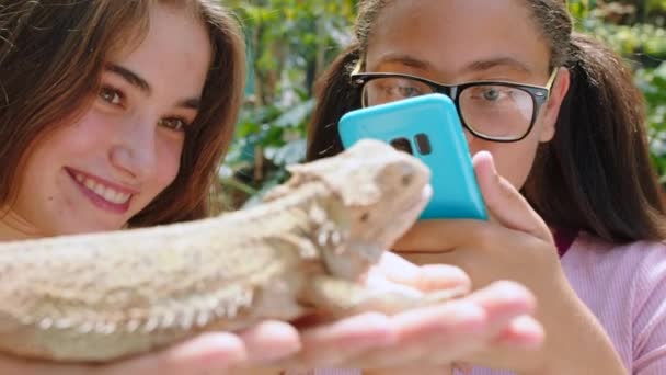 ソーシャルメディアのための爬虫類の鱗のテクスチャの楽しい写真のためのトカゲと幸せな 電話や動物園の友人 異人種間のティーン友情で女の子で動物保護区の画像のためにIguana — ストック動画