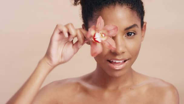 Twarz Kwiat Czarna Kobieta Pielęgnacją Skóry Kosmetyki Brązowym Tle Studio — Wideo stockowe