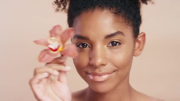 快乐的黑人妇女的脸 为有机护肤 自然化妆品和自我护理配花 温泉沙龙和带有工作室背景花卉产品的非洲模特肖像画 — 图库视频影像