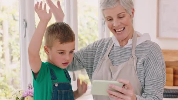 Телефон Видеозвонок Бабушка Внуком Современном Семейном Доме Австралии Счастливая Улыбчивая — стоковое видео