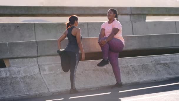 거리에서 달리고 마라톤 훈련을 운동을 여자들 도시에서 스트레칭을 생활을 시작하기 — 비디오