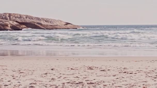 夏の間 海によって砂の上に女性の屋外の手でビーチ 旅行や写真 休日や休暇中に写真を保持している女性と海 自然とポラロイド — ストック動画