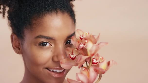 Piękno Kwiat Kobieta Naturalnej Pielęgnacji Skóry Kosmetologii Dermatologii Tle Pracowni — Wideo stockowe