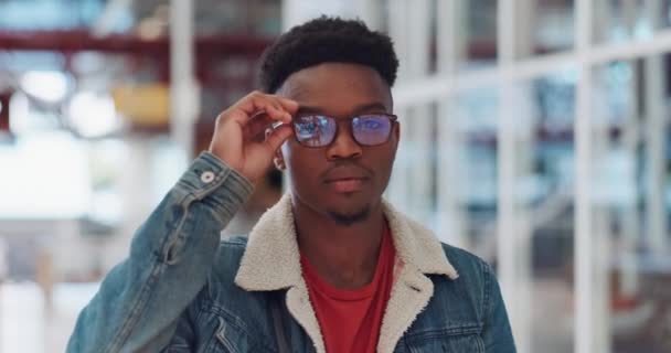흑인은 시원하고 유행하는 안경을 벗는다 나이지리아 인물상 디자이너 의복을 창의적 — 비디오