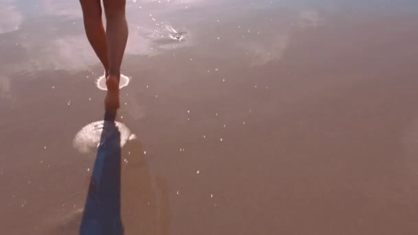 夏休みや休日の間に海や海で砂の中に女性の足で歩くと水 潮や波の中で一人で散歩する女性とビーチ 自然と自由 — ストック動画