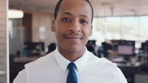年轻的非洲商人 办公室肖像和企业家在营销公司的成功 远见和目标 公司黑人男子 快乐而现代的芝加哥创新 梦想或目标办公室 — 图库视频影像