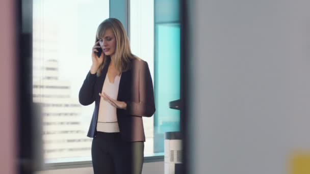 Корпоративный Юридический Телефонный Звонок Женщины Офисе Профессиональным Юридическим Клиентом Нью — стоковое видео