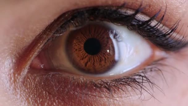 Øjne Ansigt Syn Kvinde Med Fokus Bevidsthed Kosmetik Kontaktlinser Wellness – Stock-video