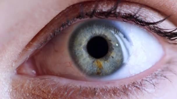 Makro Oka Zbliżenie Tęczówki Wzrok Opieki Zdrowotnej Test Optometryczny Lub — Wideo stockowe