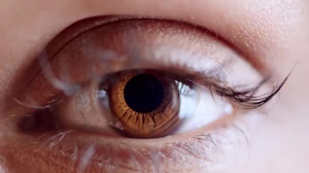 ビジョンを持つ女性の真実 信頼と目 光ケアと医療の健康のための顔に焦点を当てます 連絡先 眼科と色と健康的な眼のケアを持つ人間の目の肖像画 — ストック動画