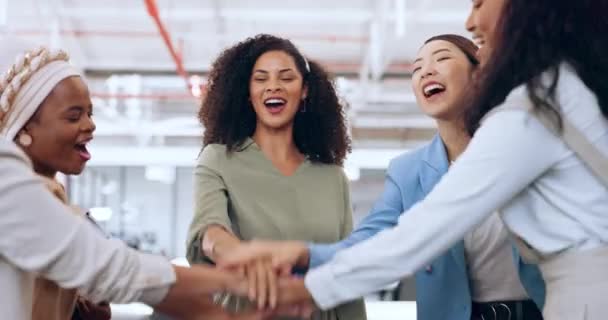 Мотивація Руки Ділові Жінки Зустрічі Створення Команди Стартап Співпраці Командна — стокове відео