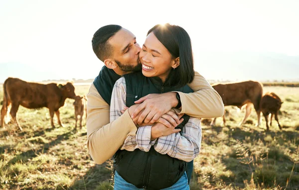 Love, cow and agriculture with couple on farm for bonding, kiss or affectionate hug. Sustainability, production and cattle farmer with man and woman in countryside field for dairy, livestock or relax.
