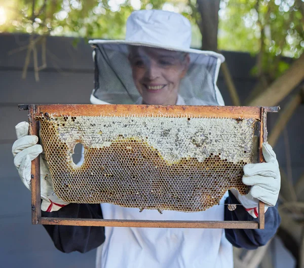 Bees, senior woman and honey production of a agriculture worker happy about bee produce. Sustainability, eco friendly and farming growth of a elderly woman in the countryside or garden with happiness.