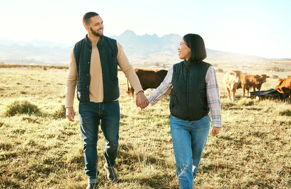 Farmer couple, cattle farming and happy while holding hands and walking together on grass field of a sustainable farm with cow animals. Woman and man with support for rural countryside lifestyle.