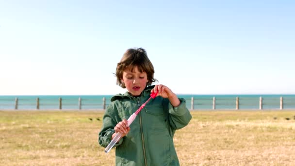 泡泡和海滩公园 在海上度假的时候带着孩子出去玩乐 享受自由 带着快乐和惊奇去旅行 男孩在草地上吹肥皂泡棒 以便在平静中放松 — 图库视频影像