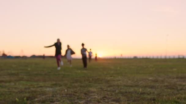 孩子们 在德国 在公园里跑步和嬉闹的比赛 夏天的自由和日落时快乐的多样性 Bokeh和小朋友在操场上快乐无忧无虑地玩耍 — 图库视频影像