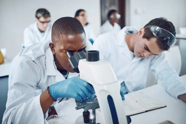 Microscope, science team and medical analysis for research innovation, planning results and scientists working in laboratory. Microbiology, report collaboration and biotechnology analytics in lab.