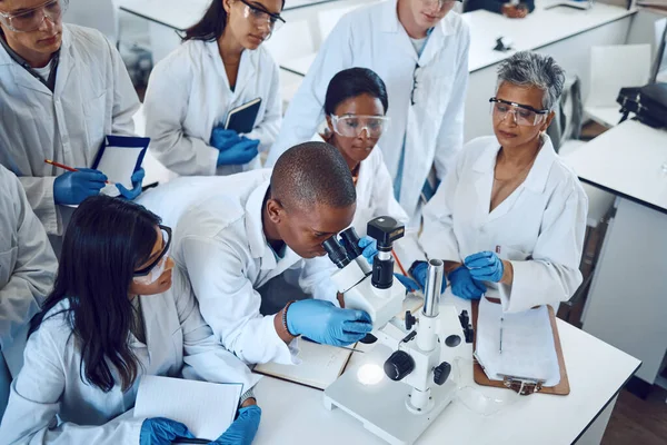 Bilim Öğrenciler Tıp Laboratuarı Mikroskop Ilaç Araştırmaları Eğitim Sınıfta Öğrenim — Stok fotoğraf