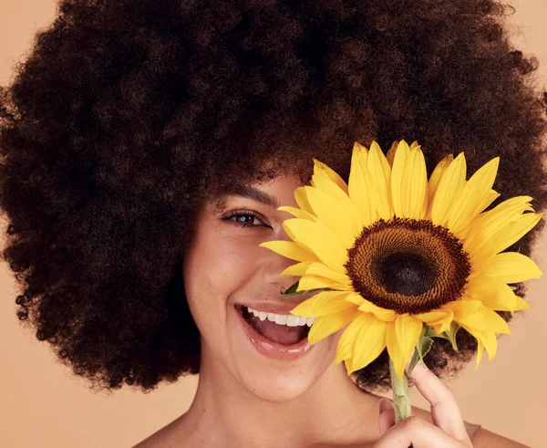 Sunflower, skincare and black woman with afro, floral beauty and happy with spring against a brown studio background. Cosmetics, wellness and face portrait of a model with a natural flower for body.