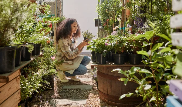 Black woman, garden and plants with nature and green, environment with sustainability, gardening and flowers. Natural, spring and ecology with gardener, calm and peace with flower plant maintenance